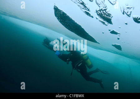 Unterwasser Video-Operator Didier Noirot, in den Baikalsee, Sibirien, Russland, Insel Olchon. Stockfoto