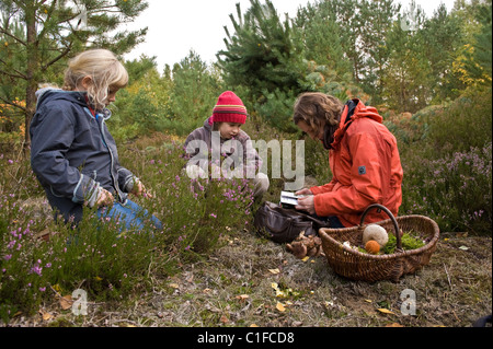 Pilzsammler in Schoenower Heide, Bernau, Deutschland Stockfoto