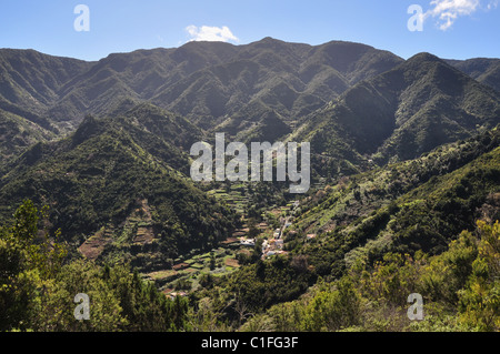 Garabato, Montana De La Asomada, Vallehermoso, La Gomera, Kanarische Inseln, Spanien Stockfoto