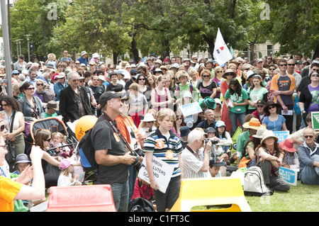 Eine Menschenmenge besucht "Gehen gegen Erwärmung" Protest, Victoria Square 2009, Adelaide, Südaustralien Stockfoto