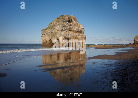 Marsden Rock, Marsden, South Shields, South Tyneside, England, Vereinigtes Königreich Stockfoto