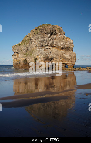 Marsden Rock, Marsden, South Shields, South Tyneside, England, Vereinigtes Königreich Stockfoto