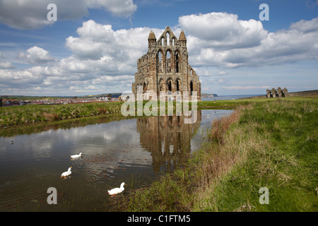 Whitby Abbey Ruinen (ca. 1220), Whitby, North Yorkshire, England, Vereinigtes Königreich Stockfoto