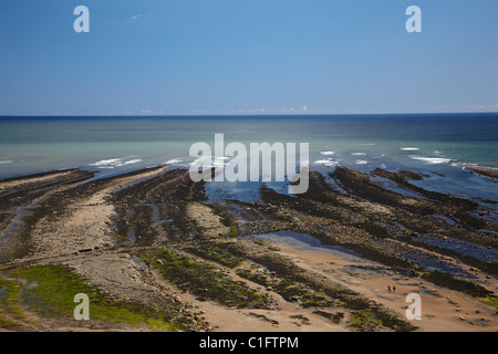 Frühen Jura Schichten (Pliensbachiums) ausgesetzt, bei Ebbe, Robin Hoods Bay, North Yorkshire, England, Vereinigtes Königreich Stockfoto