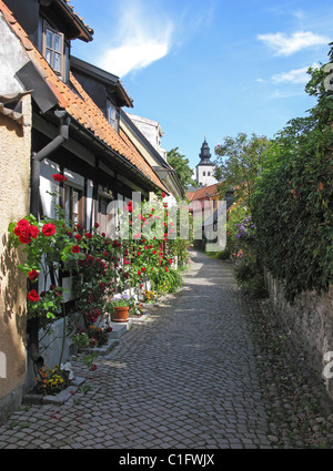 Rosen und Häuser auf einem mittelalterlichen Backstreet mit Turmspitze über domkyrkan, Visby, Gotland, Schweden. Stockfoto