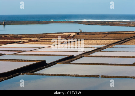 Die nur Salinen auf der Insel noch gearbeitet, im Süden an Salinas de Janubio, Teguise, Lanzarote, Kanarische Inseln Stockfoto