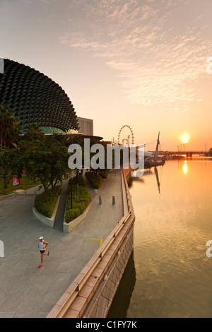 Die Esplanade - Theater an der Bucht Gebäude in der Morgendämmerung.  Marina Bay, Singapur Stockfoto