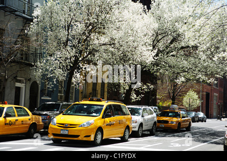gelben Taxis in vorstädtischen New york Stockfoto