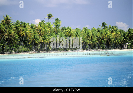 Frankreich, Französisch-Polynesien, Tuamotu, Takapoto Stockfoto