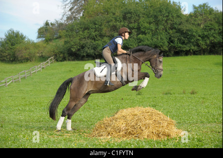 Junge Reiter auf Rückseite Connemara Pony springen Stockfoto