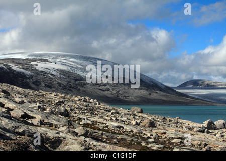 Stuggedalsvatnet-Austdalsbreen Norwegen Stockfoto