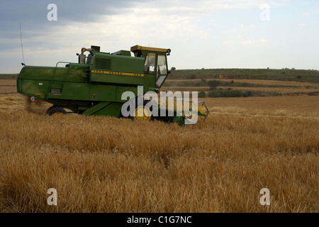 Mähdrescher auf Weizenfeld. Landmaschinen Stockfoto