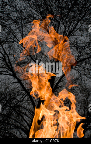 Memorial Feuer Flamme im KZ Auschwitz, Polen Stockfoto