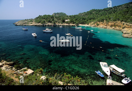 Spanien, Balearen, Ibiza, Cala Salada Stockfoto