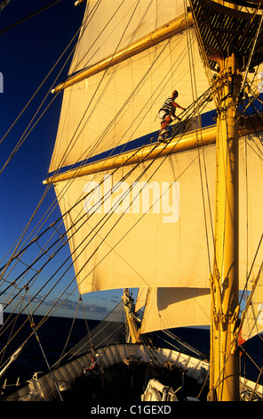 Karibik, versenden die fünf Masten SPV Royal Clipper mit jedem Satz Segel, behauptet ein Matrose in die Segel Stockfoto