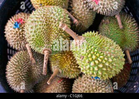 Durian (tropische Frucht) in den Märkten zu verkaufen.  Bugis, Singapur Stockfoto