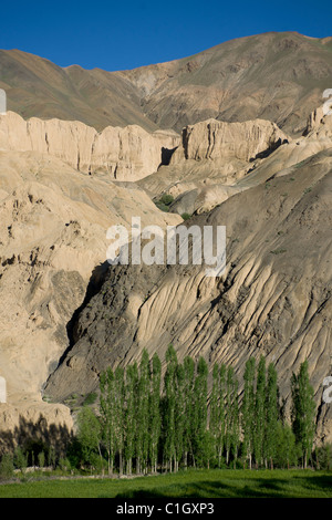 Moonland, eine einzigartige Landschaft in der Nähe von Lamayuru, auf der Autobahn Srinagar-Leh (Ladakh) Jammu & Kaschmir, Indien Stockfoto