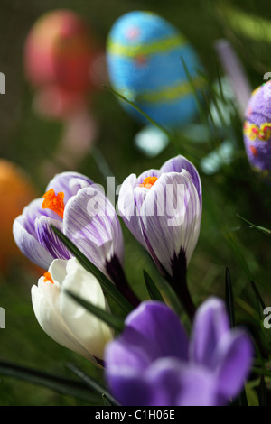 Ostern Stockfoto