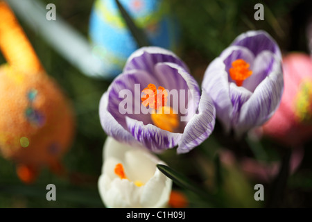 Ostern Stockfoto