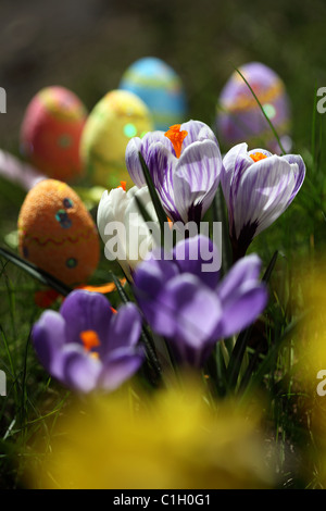 Ostern Stockfoto