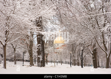 Schneebedeckte Bäume vor einem Regierungsgebäude, Boston Common, Massachusetts State Capitol, Boston, Massachusetts, USA Stockfoto