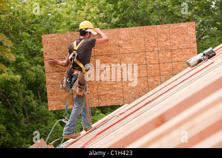 Hispanische Zimmermann trägt eine Spanplatte in einem Haus im Bau Stockfoto
