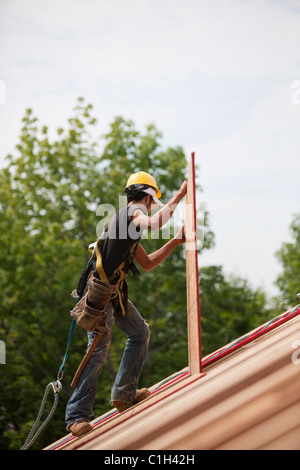 Hispanische Zimmermann trägt eine Spanplatte in einem Haus im Bau Stockfoto