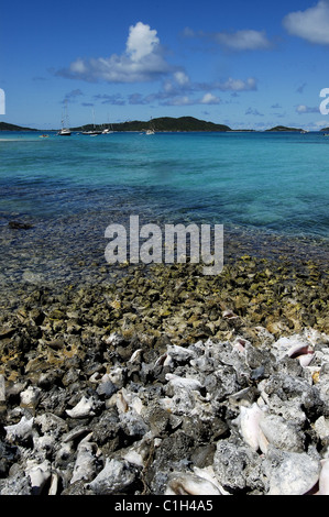 Karibik, St. Vincent und die Grenadinen, Tobago Cays Archipel, Shell Strand auf einer kleinen einsamen Insel Stockfoto