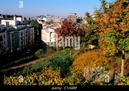 Frankreich, Paris, Garten des Bezirks der Lardennois-Straße (Buttes Chaumont) mit Blick auf Sacre Cœur Stockfoto