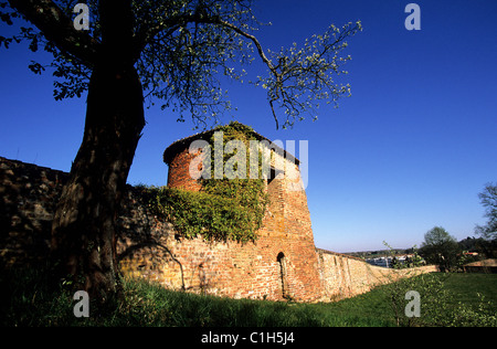 Frankreich, Ain, Dombes Region, Chatillon Sur Chalaronne, altes Schloss Stockfoto