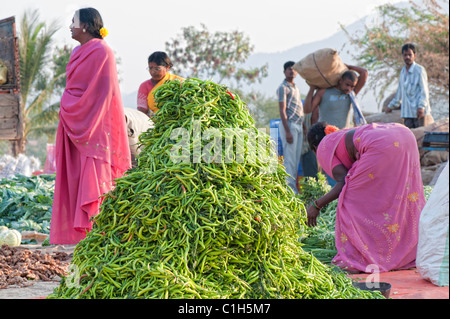 Große Haufen grüner Chili auf einem Gemüsemarkt in Puttaparthi, Andhra Pradesh, Indien Stockfoto