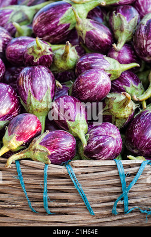 Indisches Gemüse. Auberginen / Aubergine oder Aubergine in Körben auf einem indischen Markt. Andhra Pradesh, Indien Stockfoto