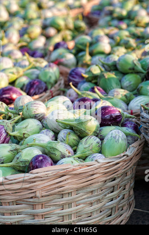 Indisches Gemüse. Auberginen / Aubergine oder Aubergine in Körben auf einem indischen Markt. Andhra Pradesh, Indien Stockfoto