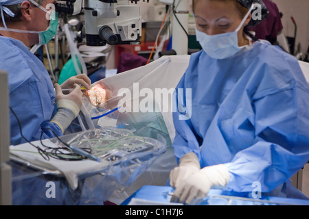 Augenarzt durchführen Katarakt-Operation mit chirurgischen Technologe Stockfoto