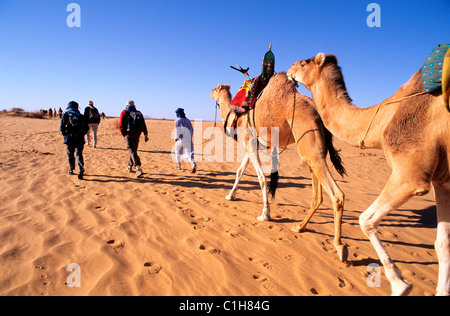 Libyen, Sahara, Kamel Trekking im Tassili Maghidet Stockfoto