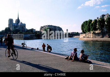 Frankreich, Paris, Kathedrale Notre-Dame auf der Île De La Cité und der Bernhardiner-bank Stockfoto