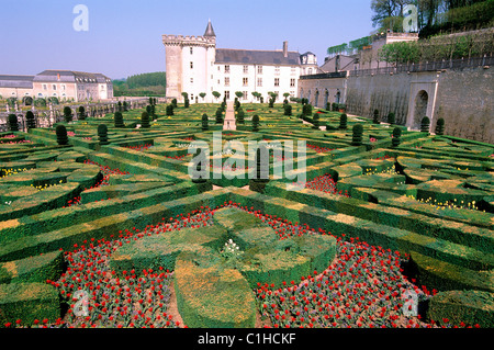 Frankreich, Indre et Loire, Les Chateaux De La Loire, Chateau de Villandry (Inhaber Henri & Angelique Carvallo), Les Jardins d ' Amour Stockfoto