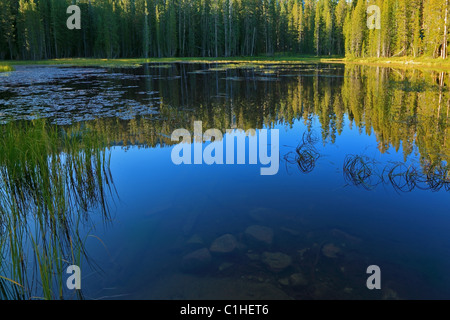 Charmante dunkel blauen See im Yosemite park Stockfoto