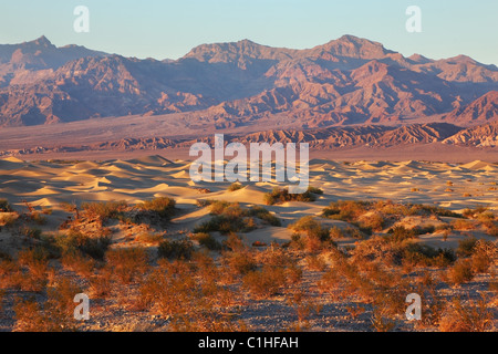 Ein einzigartiger Ort im Death Valley - Mesquete flache Sanddünen Stockfoto