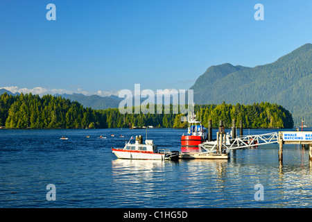 Boote am Dock in Tofino am Pazifik Küste von British Columbia, Kanada Stockfoto