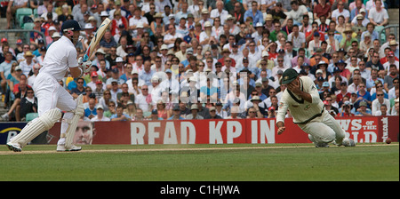 Ricky Ponting ist in das Gesicht von einem Schuss Matt Prior während der fünften Testspiel der Asche auf das Oval, London, England getroffen. Stockfoto