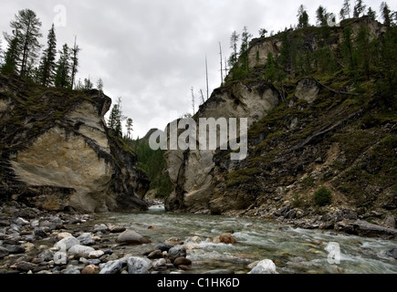 Canyon (Schlucht) auf Bergfluss Yamangol. Östliche Sajan-Gebirge. Sibirien.  Tunkinskie Goltsy. Republik Burjatien. Russland. Stockfoto