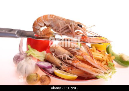 Gekochte Scampi auf einen Teller vor einem weißen Hintergrund Stockfoto