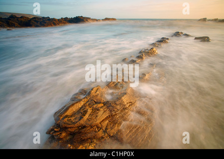 Wellen über Vorland Felsen am Wembury Bay Devon UK Stockfoto