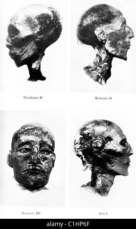 Abgebildet sind hier die Mumie Staats-und Thutmosis II., Ramses II, Ramses II und Seti ich. Stockfoto