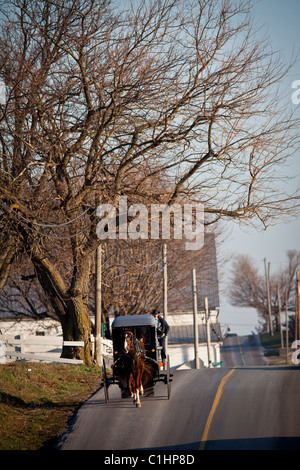 Amische Pferd Buggy in einem Stall in Gordonville, PA. Stockfoto