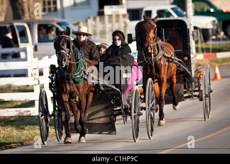 Amische Pferd Buggy in Gordonville, PA. Stockfoto