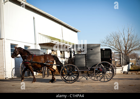 Amische Pferd Buggy in einem Stall in Gordonville, PA. Stockfoto