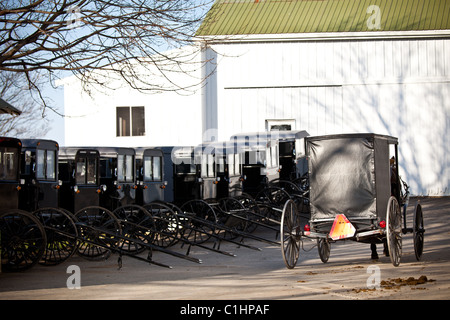 Amish Pferd Buggys in einem Stall in Gordonville, PA. Stockfoto