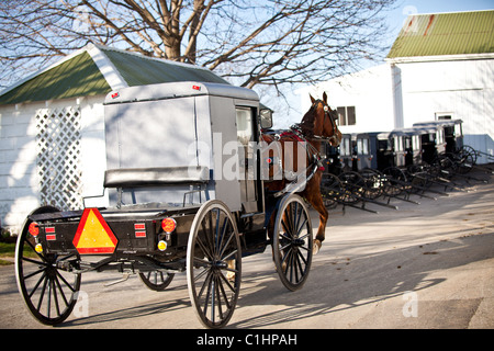 Amish Pferd Buggys in einem Stall in Gordonville, PA. Stockfoto